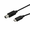 Ezgeneration USB-C to USB-B Printer Cable M&M 0.5m USB 2.0 EZ533702